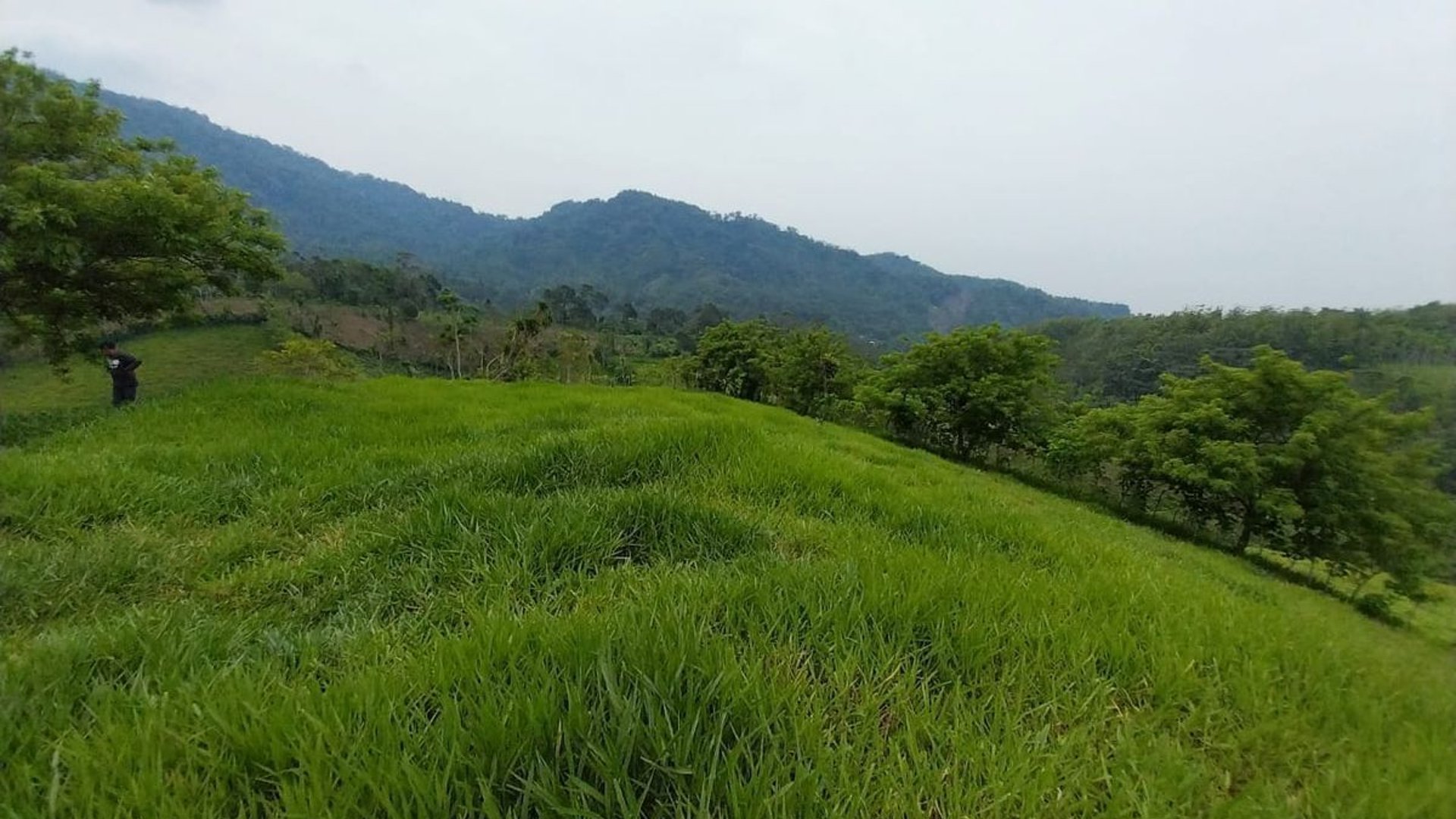 Finca en VENTA de 2 caballerías en Chicacao, Suchitepéquez - Miniatura 4