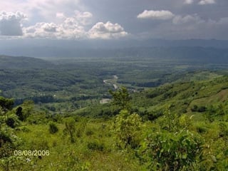 Fincas en VENTA en El estor Izabal y Alta Verapaz - 4