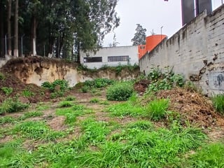 Terreno en Renta sobre Boulevard San Cristóbal Mixco - Image 1