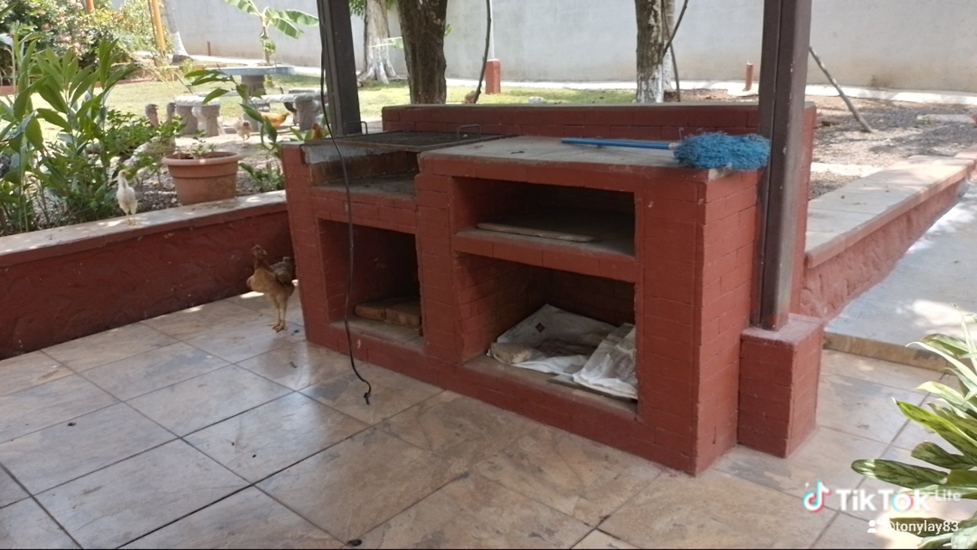 Venta y Renta con Amenidades Premium - Miniatura 2