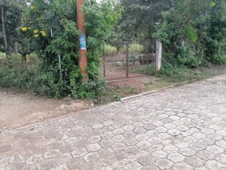 Terreno Comercial en Renta en El Progreso, Guatemala - 5