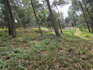 Terreno en Venta Los Horizontes Santo Domingo Xenacoj - 5