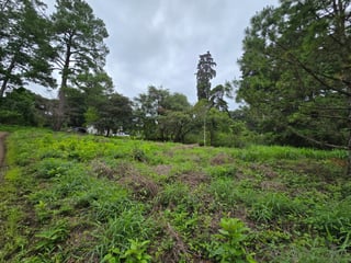 VENTA Terreno Residencial el Encinal, Mixco Zona 7 - 2