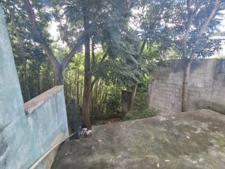 Casa de venta en ciudad Nueva zona 2 - 2