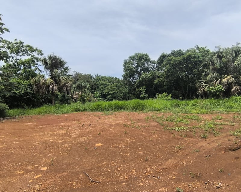 En Renta terreno entre Taxisco y Guazacapan Santa Rosa