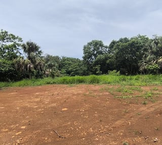 En Renta terreno entre Taxisco y Guazacapan Santa Rosa