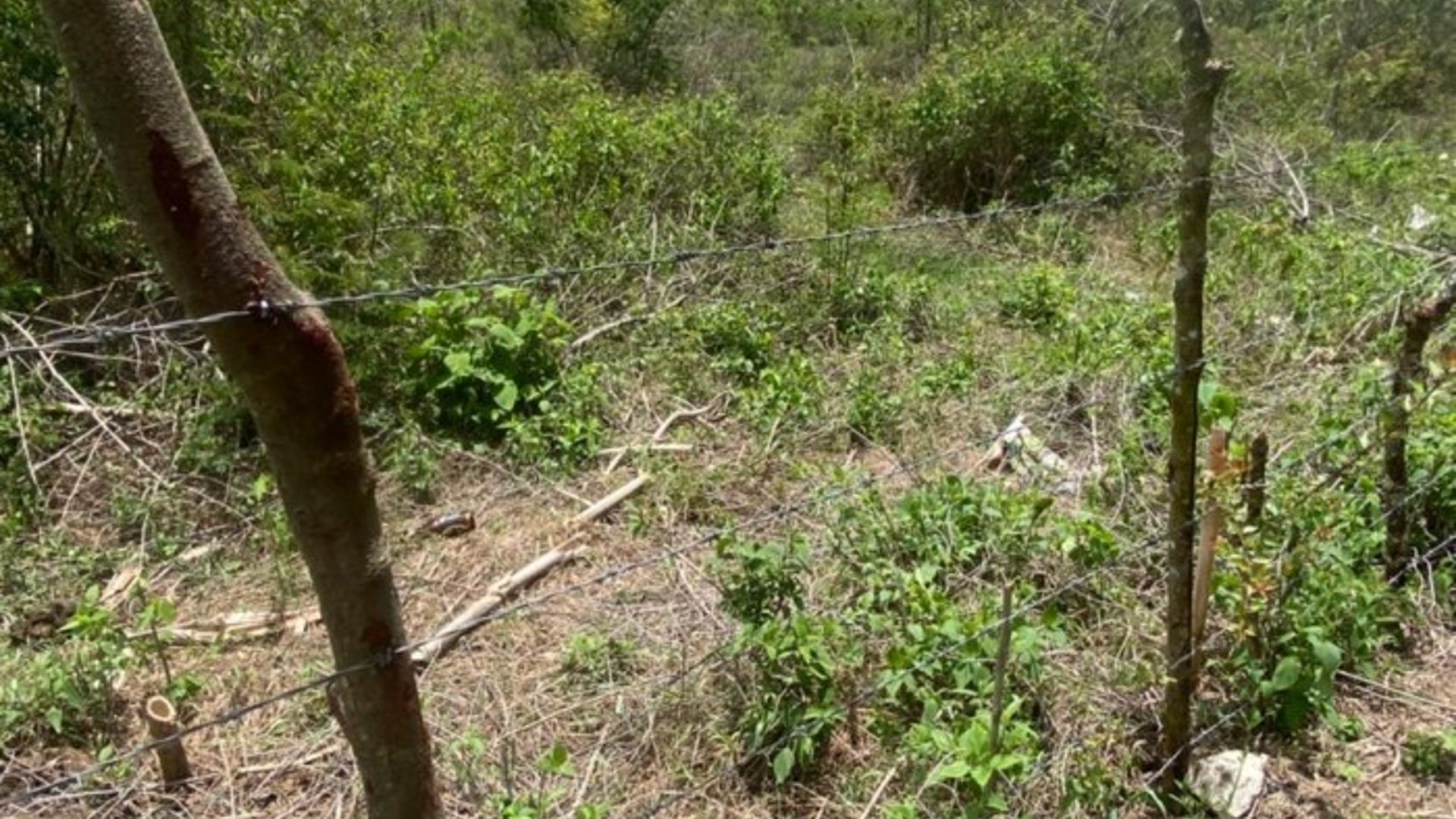 Finca en el km21 carretera a Fraijanes