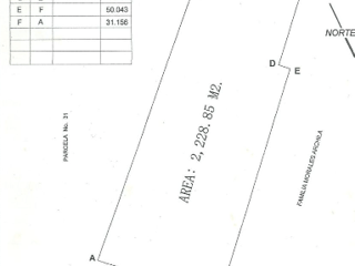 ALQUILER DE AMPLIO TERRENO RURAL - SANTA LUCIA MILPAS ALTAS - Image 22