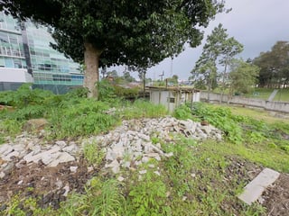 Terreno en ALQUILER en Carretera a El Salvador - Image 6