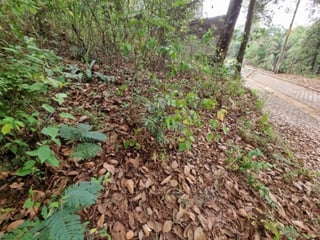 Terreno en Venta KM 32 San Lucas Sacatepéquez. Garita - 4