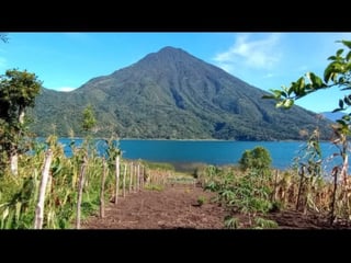 VENDO TERRENO A ORILLA DEL LAGO, SANTIAGO ATITLÁN - 3