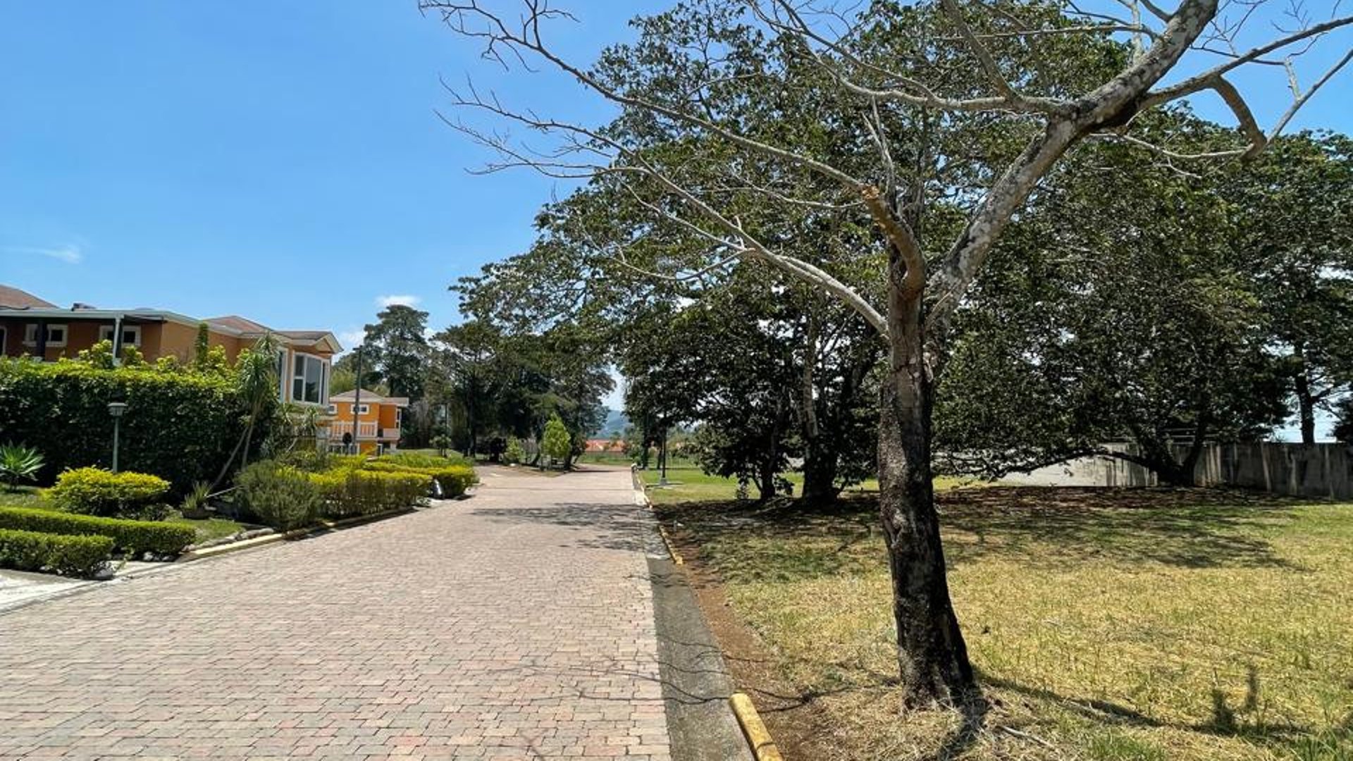 ???? TERRENO EN VENTA  | SAN MARTÍN DE ALLENDE | KM. 29.5 FRAIJANES - Miniatura 6