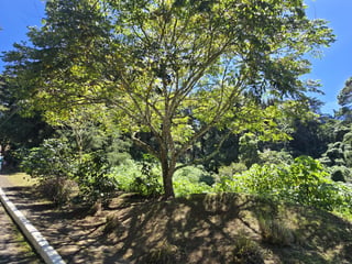 Terreno en Venta en Mirage km18 Carretera a El Salvador - Image 22
