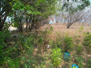 Terrenos en Venta en El Progreso, Jutiapa - 2