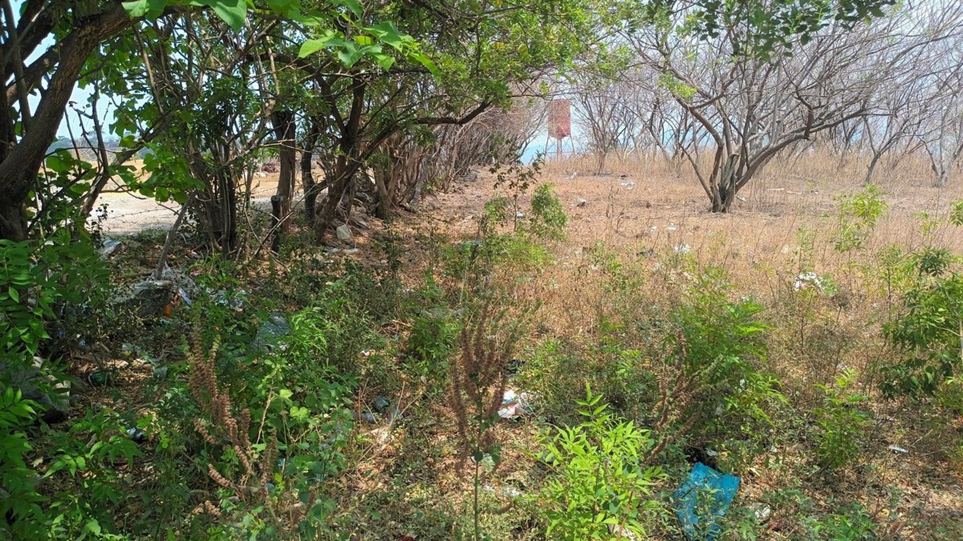 Terrenos en Venta en El Progreso, Jutiapa - Miniatura 2