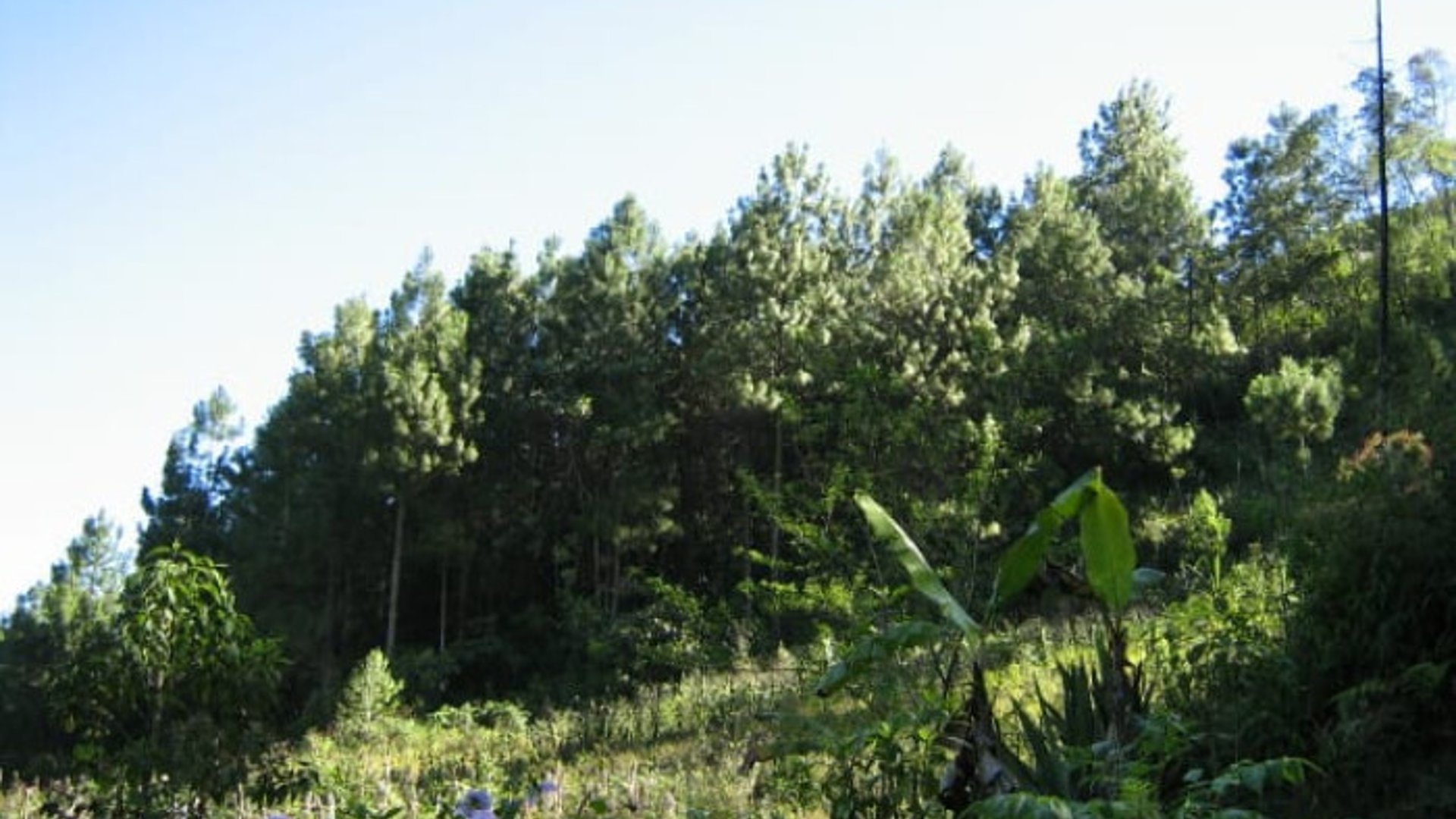 En Venta Finca San Juan Chamelco, Coban - Miniatura 2