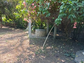 ALQUILO PREDIO EN EL PUERTO DE SAN JOSE, ESCUINTLA - 3