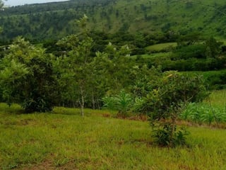 Terreno en VENTA en  Km. 46.5 Villa Canales, - Image 7