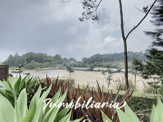 TERRENO EN VENTA | LA RESERVA, CLUB ECUESTRE EL PULTÉ - Image 28