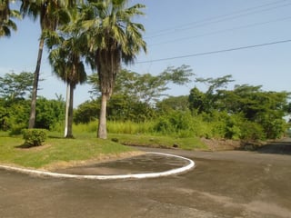Terreno en Venta Escuintla, Lagunas de Torre Molinos - 3