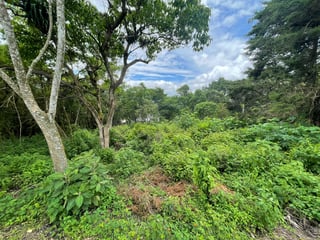 Venta de terreno en Altos de San Vicente | Carretera a El Salvador - 4