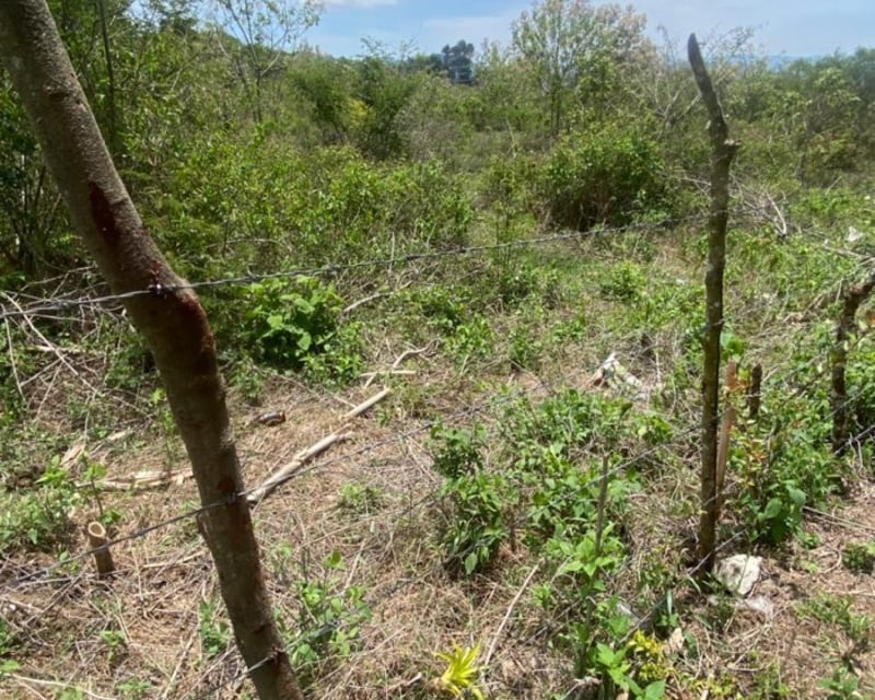 Finca en el km21 carretera a Fraijanes
