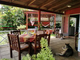 CASA EN VENTA / RENTA EN BARRIO LA COROZA, EL ESTOR, IZABAL - Image 11