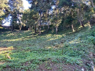 Terreno en Venta La Hondonada Santa Catarina Pinula - 5
