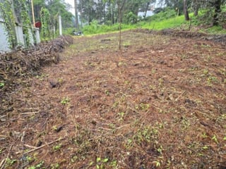 Terreno en Venta Hacienda Manzanales Santa María Cauque - 4