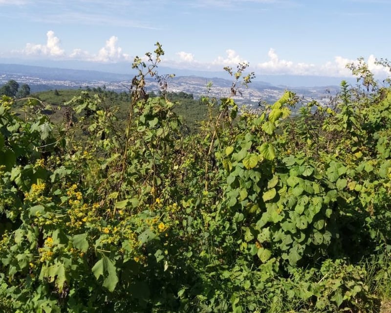 Vendo terreno en Pulté 1170.57m2