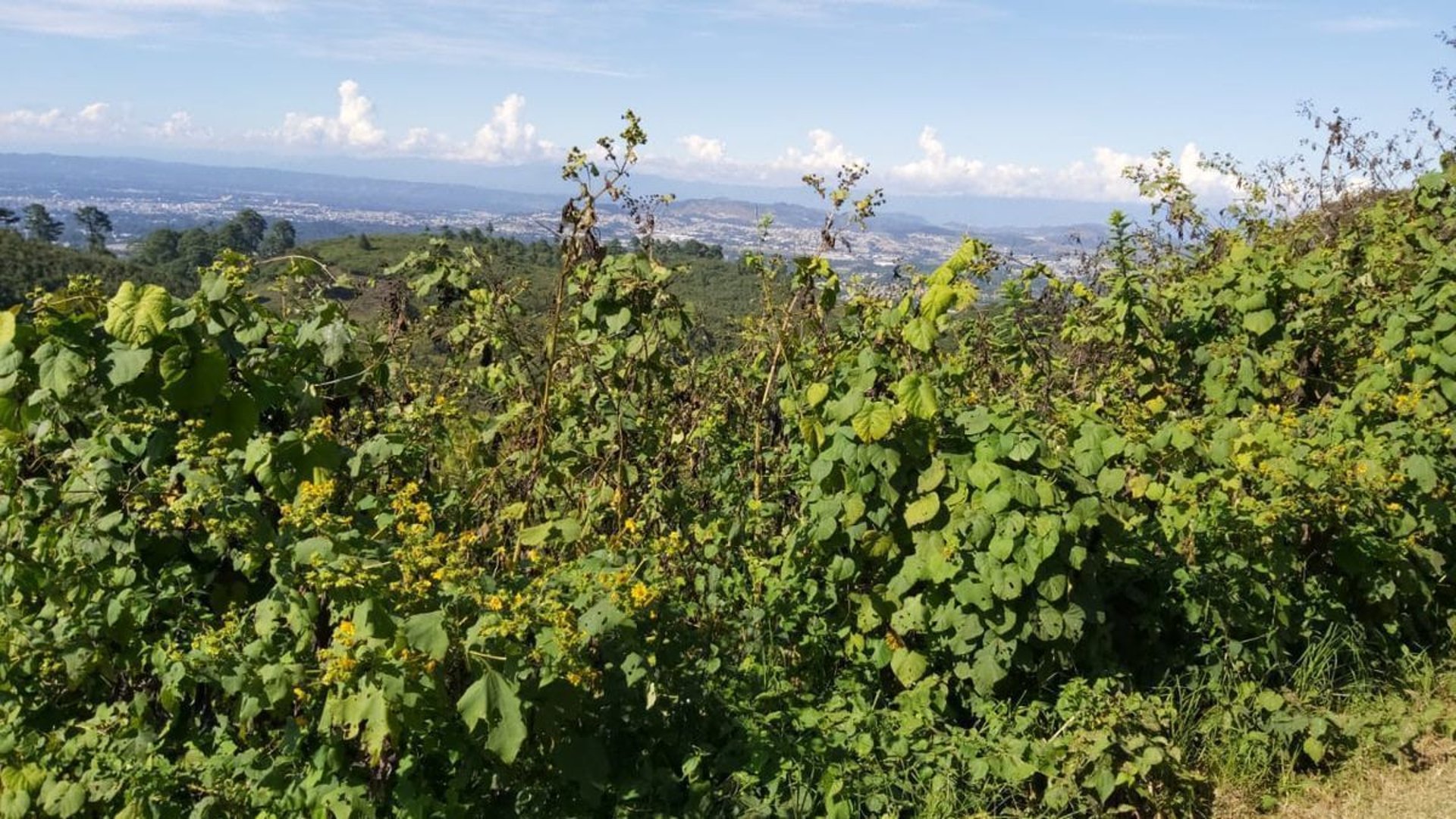 Vendo terreno en Pulté 1170.57m2
