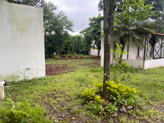 TERRENO CON LOCAL COMERCIAL EN VENTA EN EL CERINAL, BARBERENA - 5
