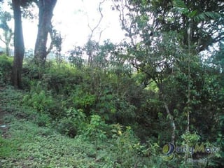 Venta Terreno en Aldea La Cumbre Villa Canales - 3