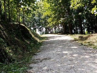 Finca con Producción de Teca en VENTA en Alta Verapaz - 4
