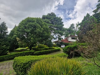Venta o Renta de Casa - 5