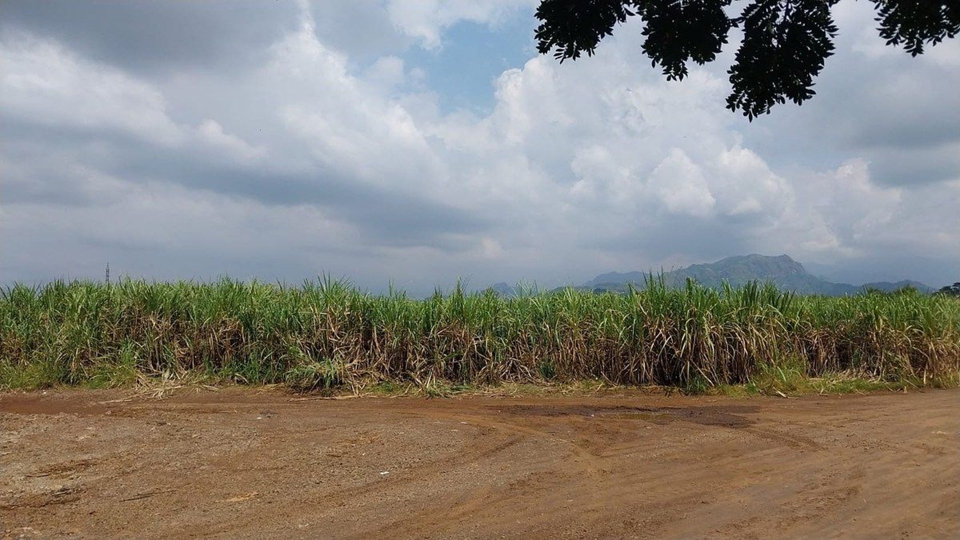 Terreno en Venta en Escuintla – Costa Sur de Guatemala