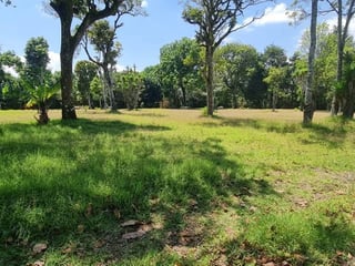 Terreno en venta para desarrollo de casas en Santa Elena Barillas – atrás del Rincón de la Finca - 3