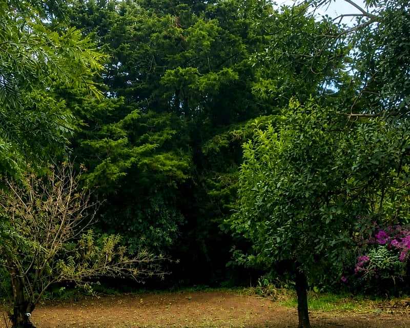 📍 TERRENO EN VENTA –  876 VRS²| SANTA LUCÍA MILPAS ALTAS |SAC.