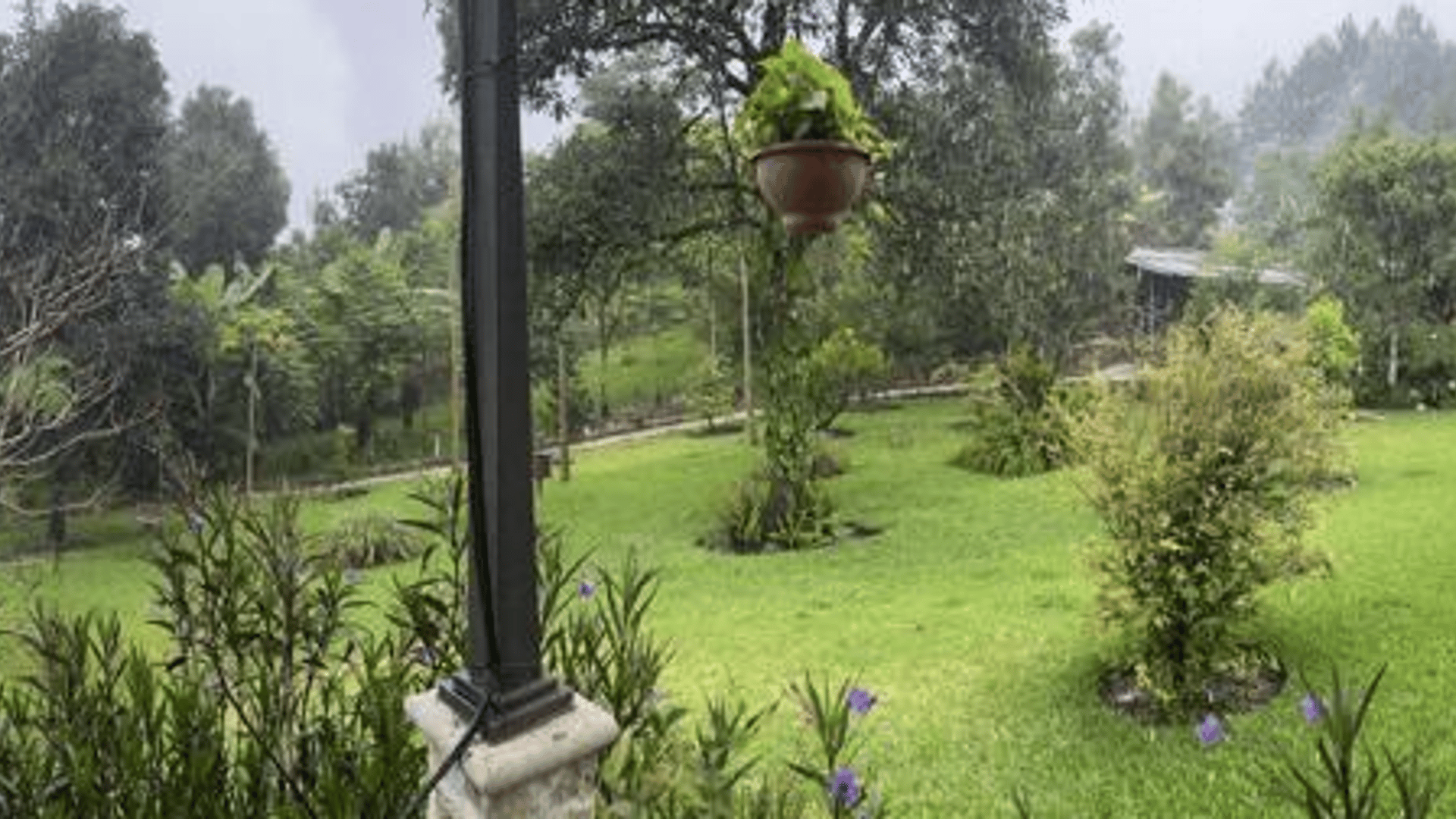 Finca comercial 26 manzanas en Venta en la Verapaces  - Miniatura 6