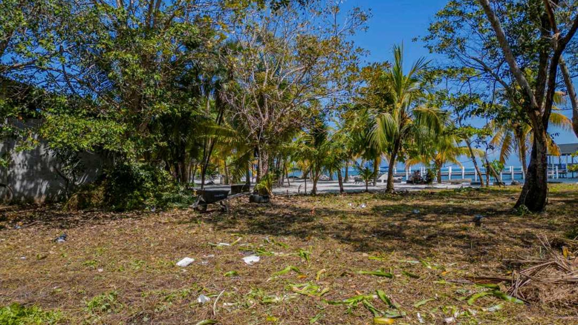 TERRENO FRENTE AL MAR en Nueva Punta Palma, Izabal - Miniatura 6