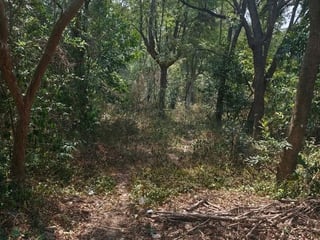 Terreno en venta en antigua guatemala  - 5