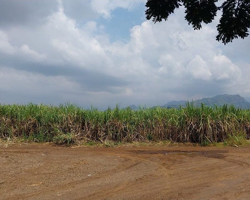 Terreno en Venta en Escuintla – Costa Sur de Guatemala
