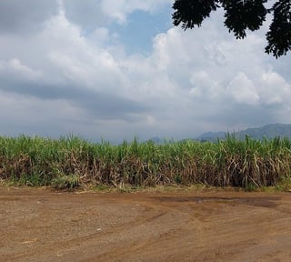 Terreno en Venta en Escuintla – Costa Sur de Guatemala