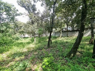 Terreno de 22,755 Vrs² en Venta en Las Hojarascas Mixco - 3