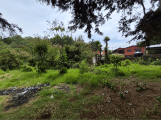 RENTA Terreno Comercial o Industrial Sobre Carretera San José Pínula  - 2