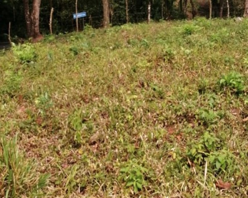 Terreno en Venta Los Amates Izabal, Guatemala