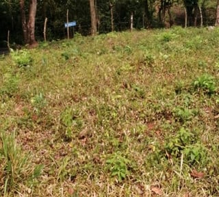 Terreno en Venta Los Amates Izabal, Guatemala