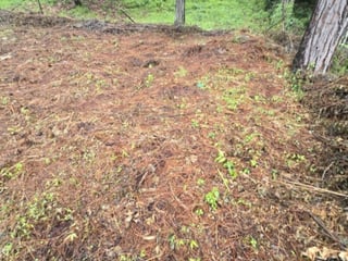 Terreno en Venta Hacienda Manzanales Santa María Cauque - 3