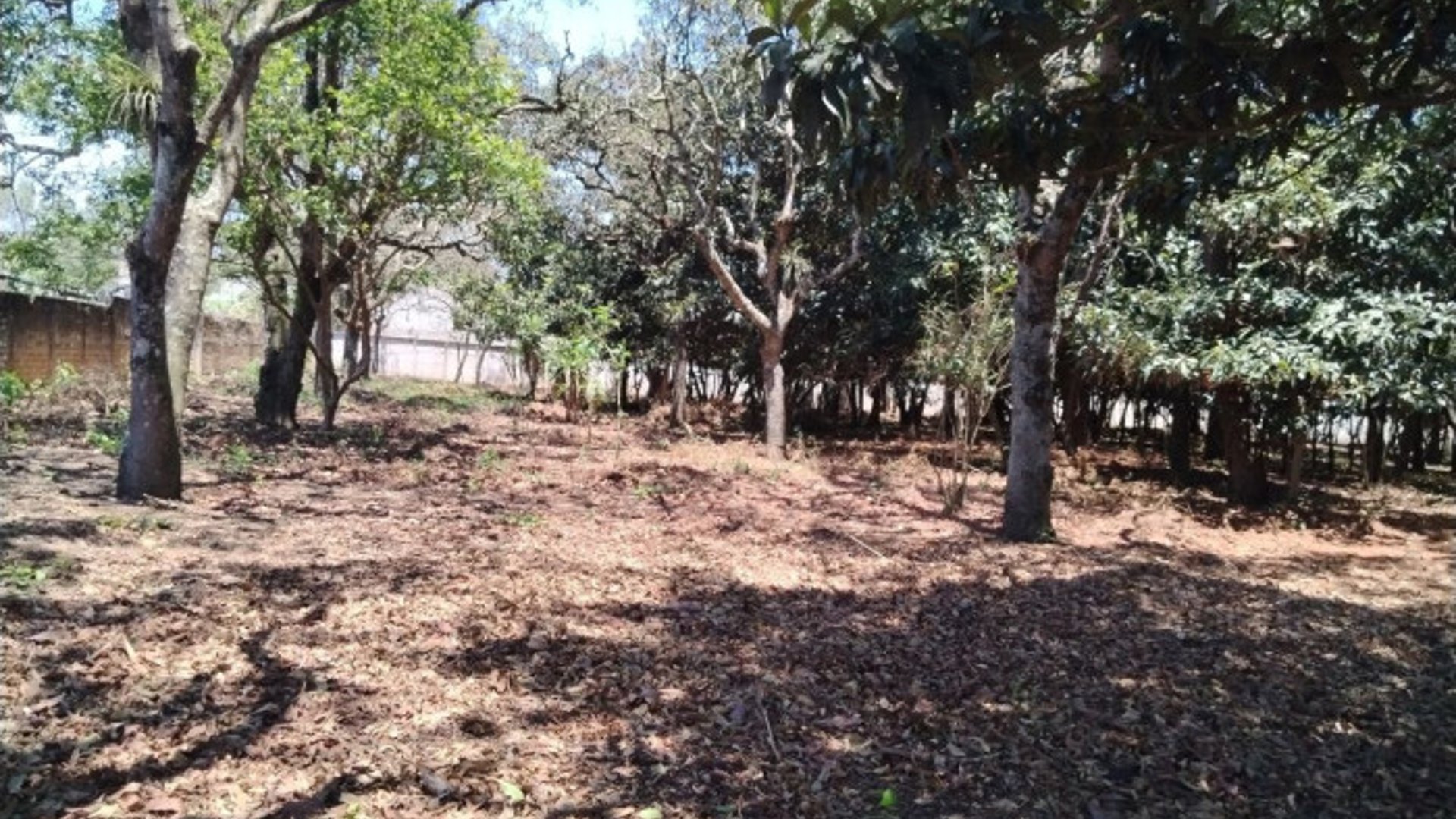 TERRENO EN VENTA EN CHIMALTENANGO - Miniatura 16
