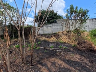 Terreno en Venta San Cristóbal en Colonia sobre Bulevar - 5